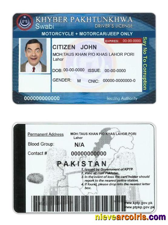 Pakistan driver license